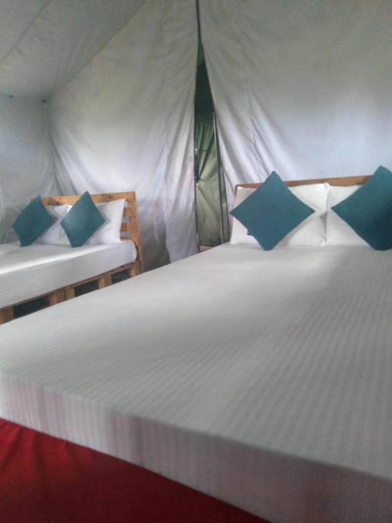 ホテル Ella Glamping エクステリア 写真
