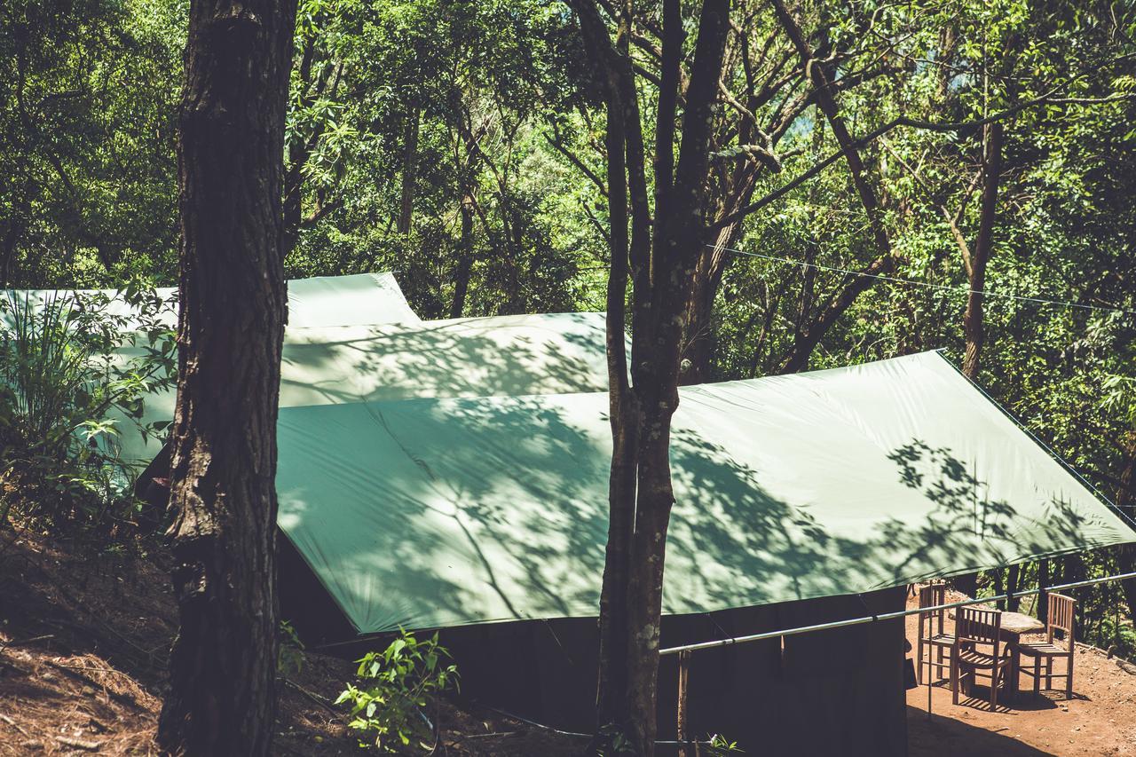 ホテル Ella Glamping エクステリア 写真
