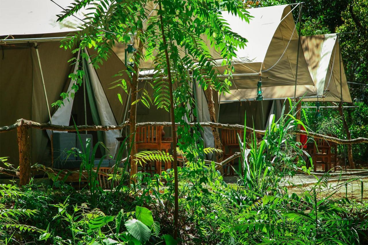 ホテル Ella Glamping エクステリア 写真