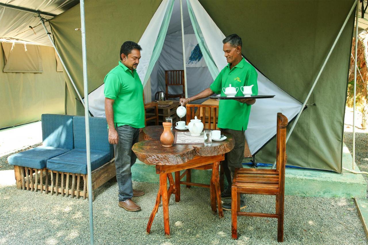 ホテル Ella Glamping エクステリア 写真